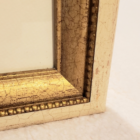 Bird picture. - Picture 4 of 9